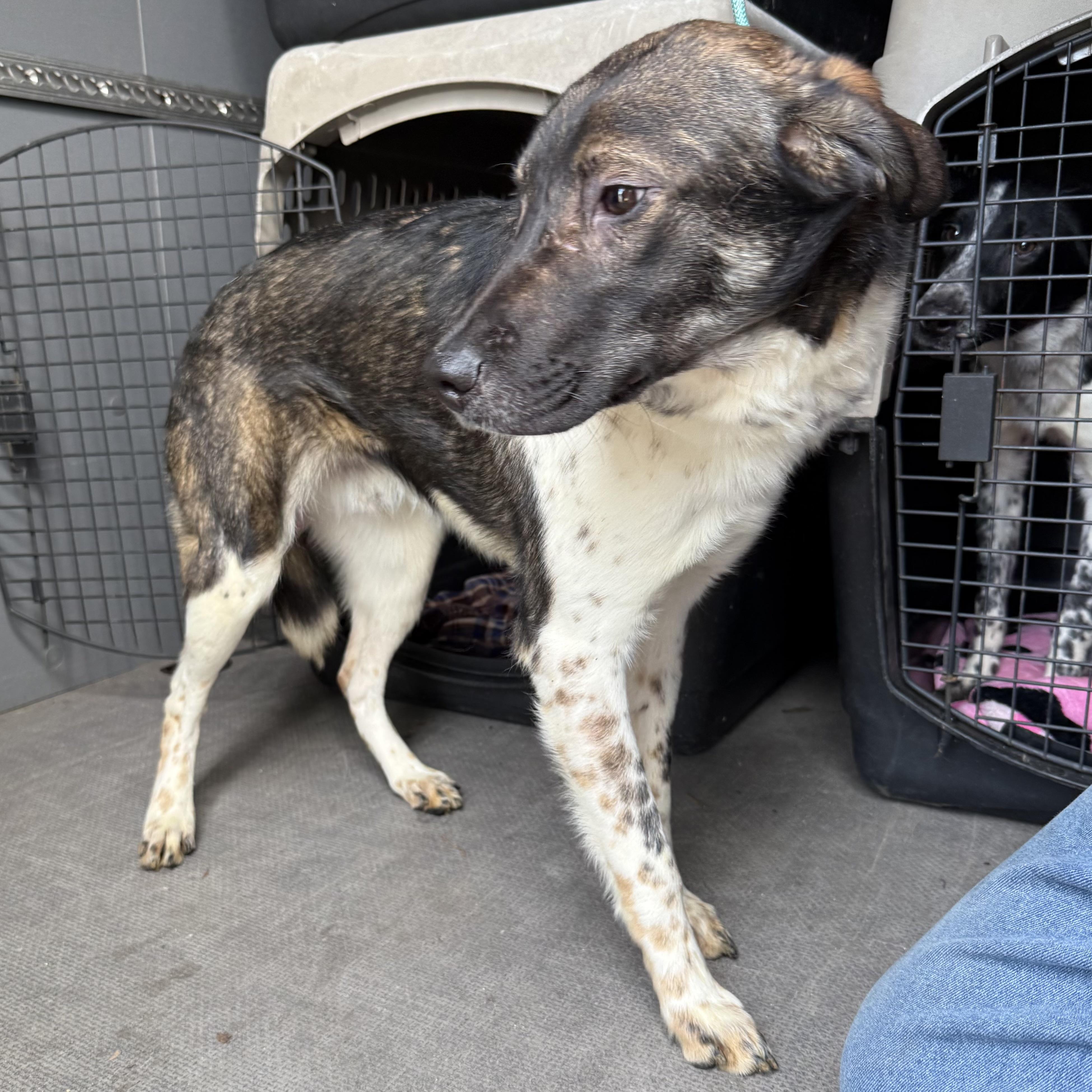 Stonyfield thumbnail 3