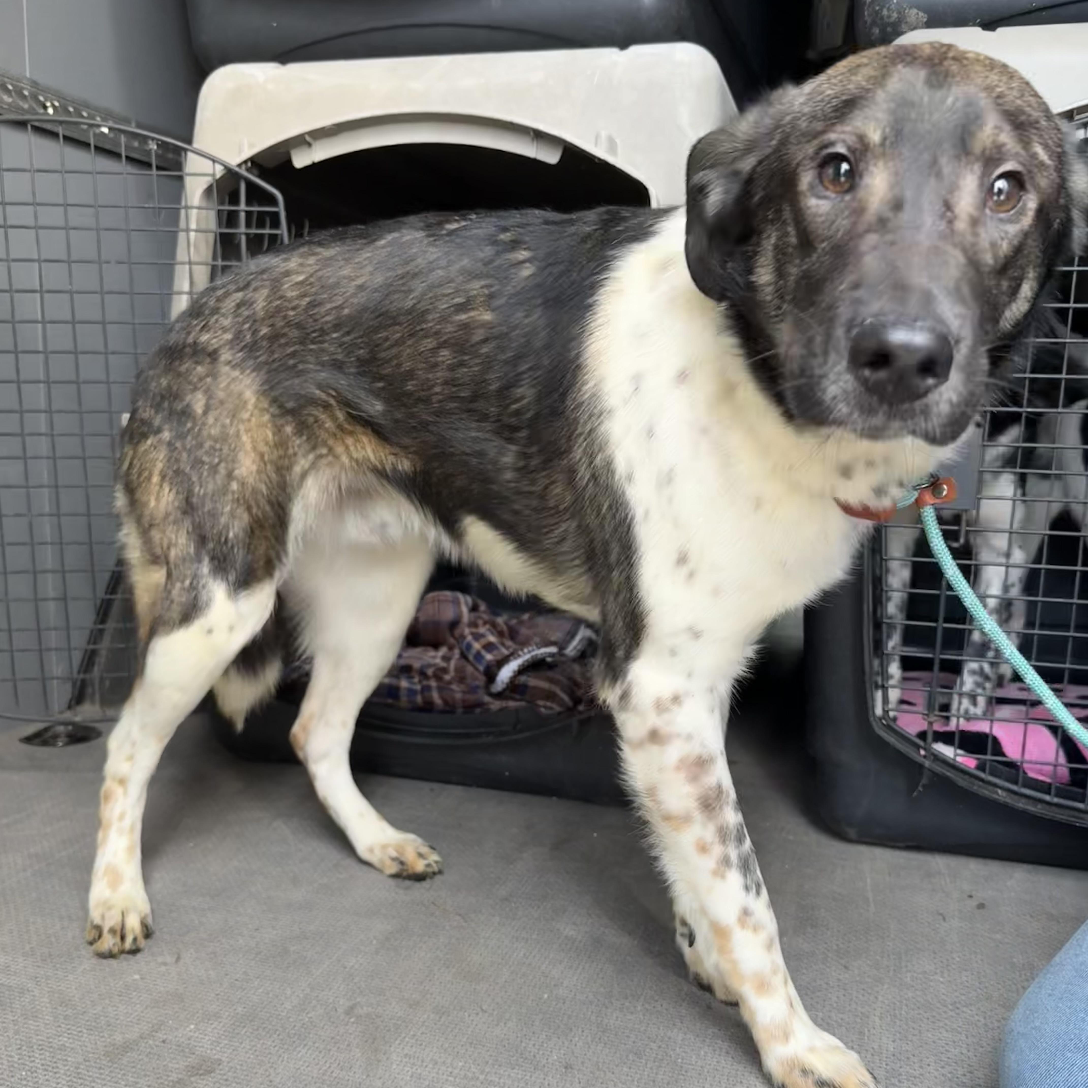 Stonyfield thumbnail 4