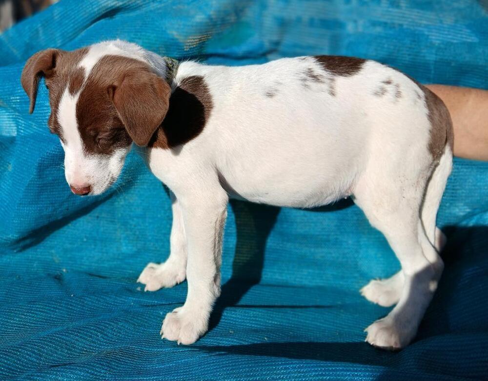 Val Dal Bean thumbnail 2