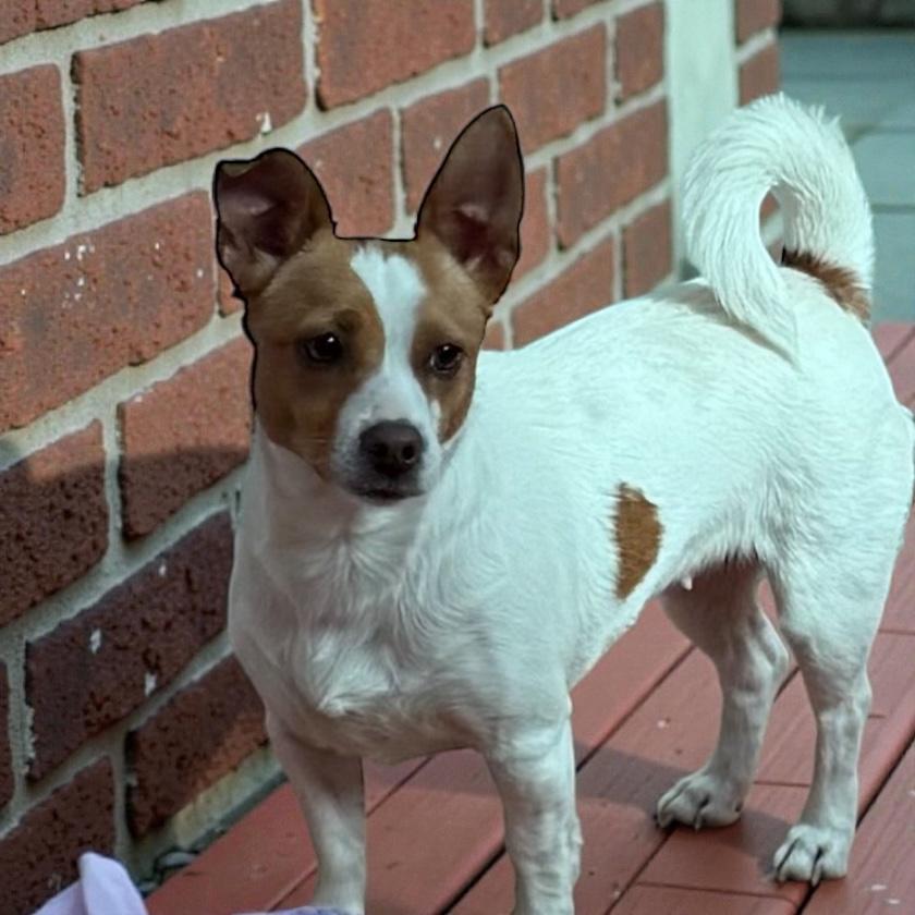 Honey Bun thumbnail 2