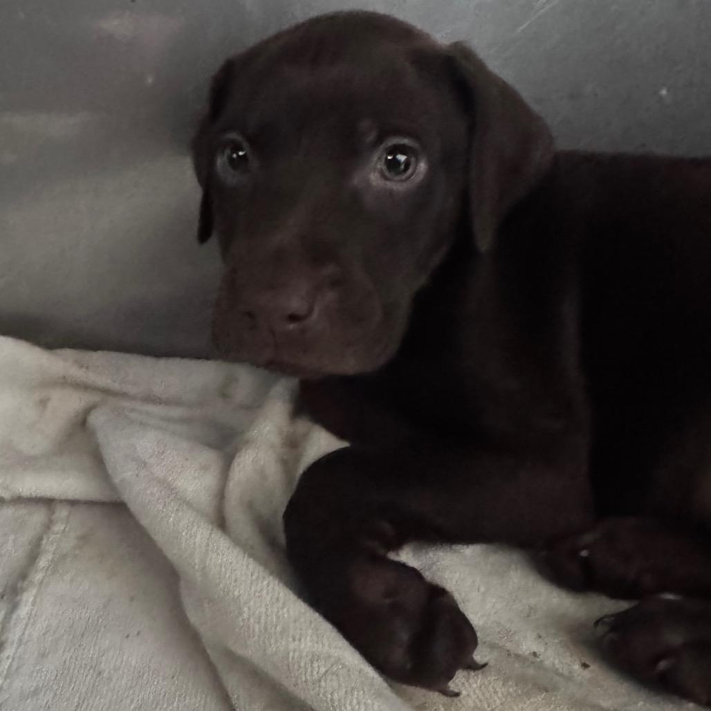 Spaghetti thumbnail 3