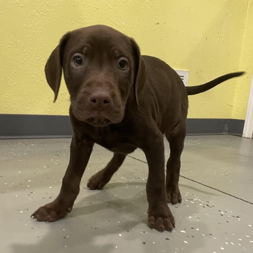 Spaghetti thumbnail 4