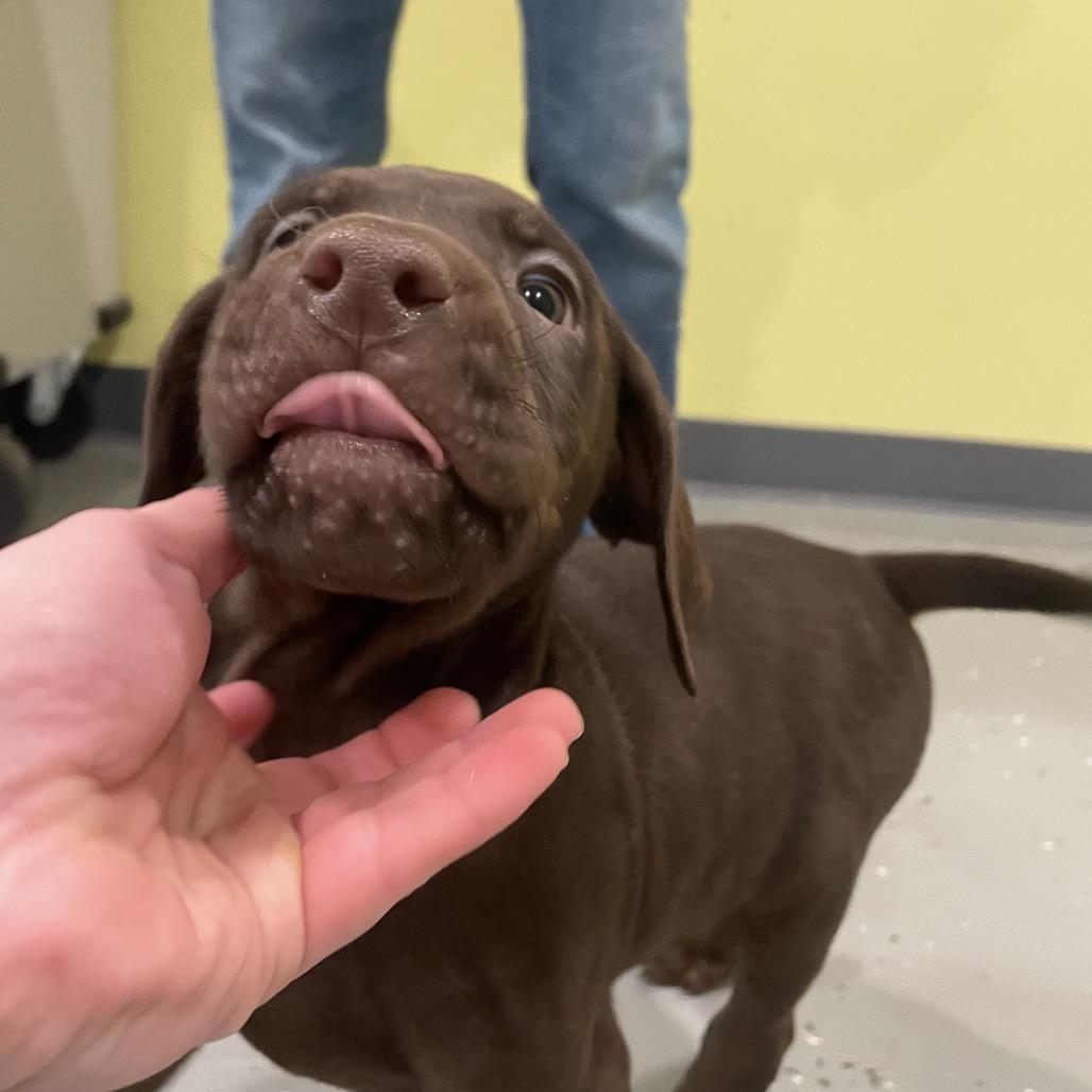 Spaghetti thumbnail 5