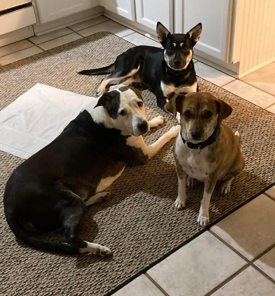 Brittany Lee thumbnail 2