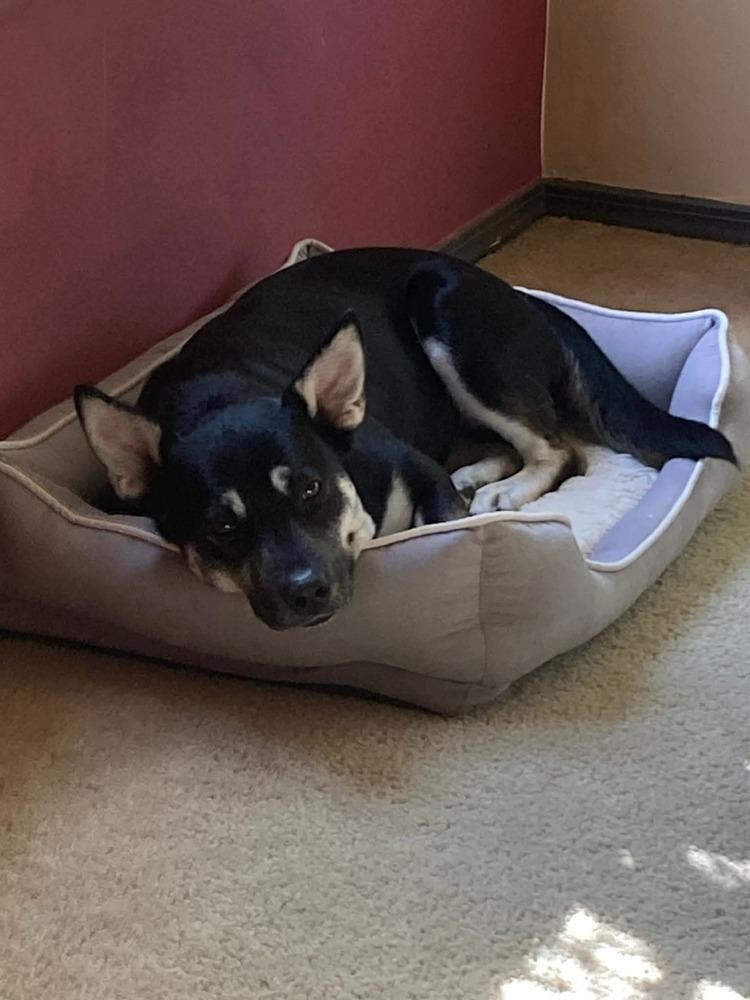 Brittany Lee thumbnail 3