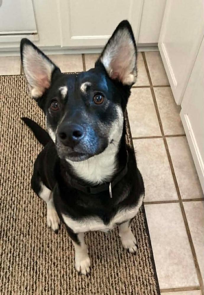 Brittany Lee thumbnail 4