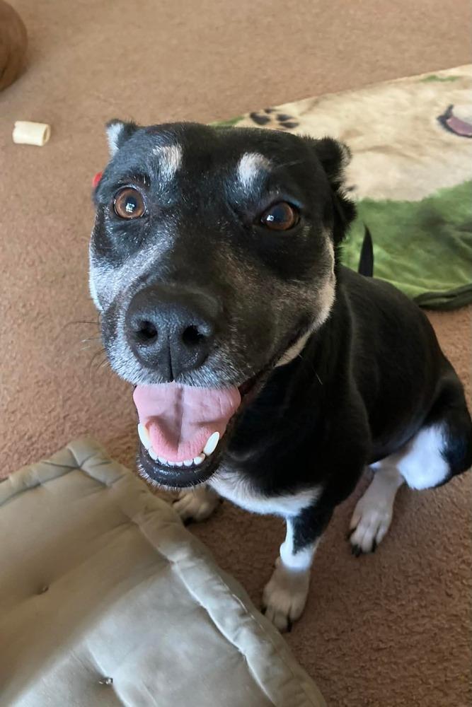 Brittany Lee thumbnail 5