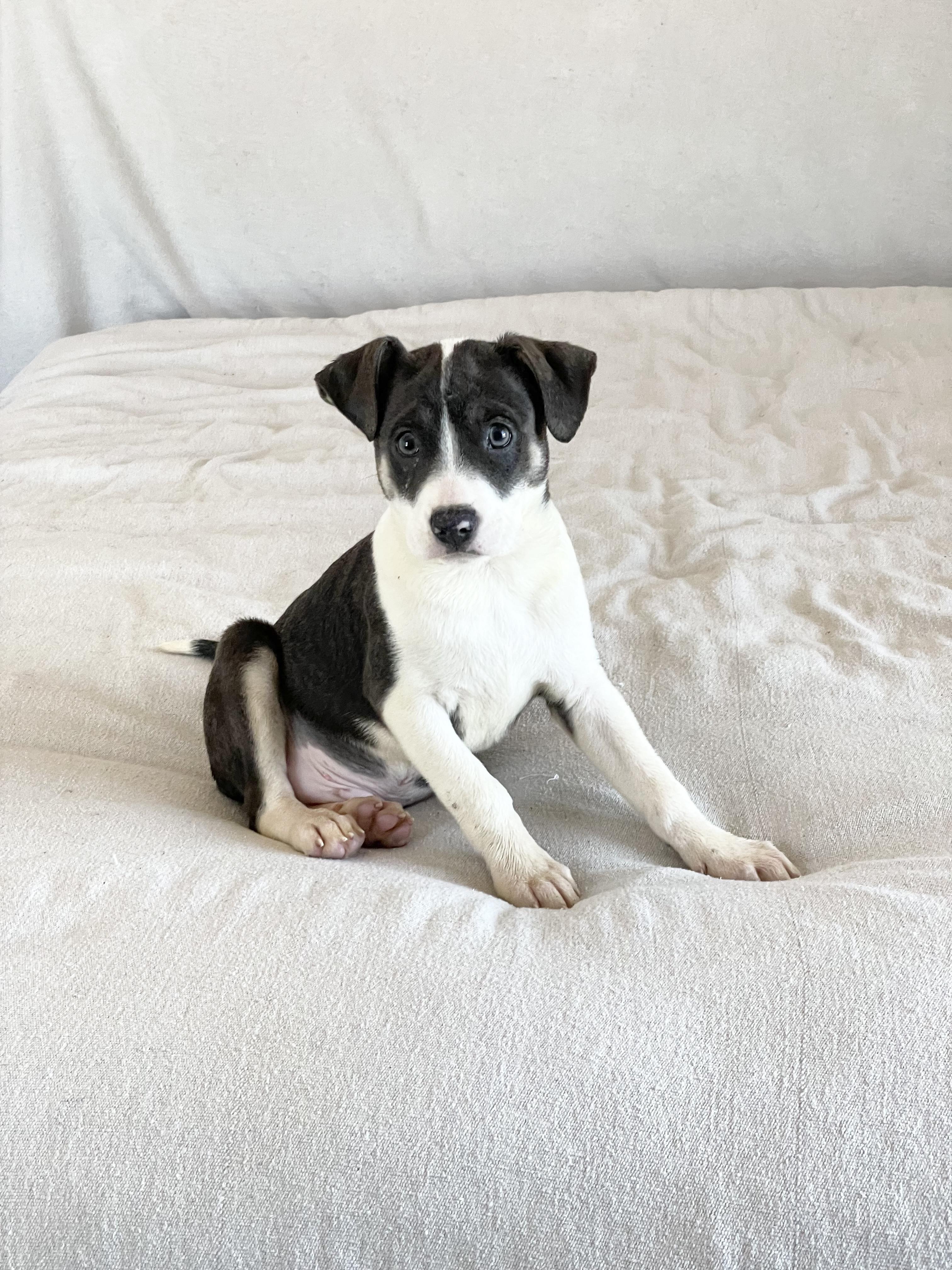 Perfect Mesa thumbnail 2