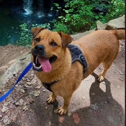 Serena Wiggles thumbnail 4