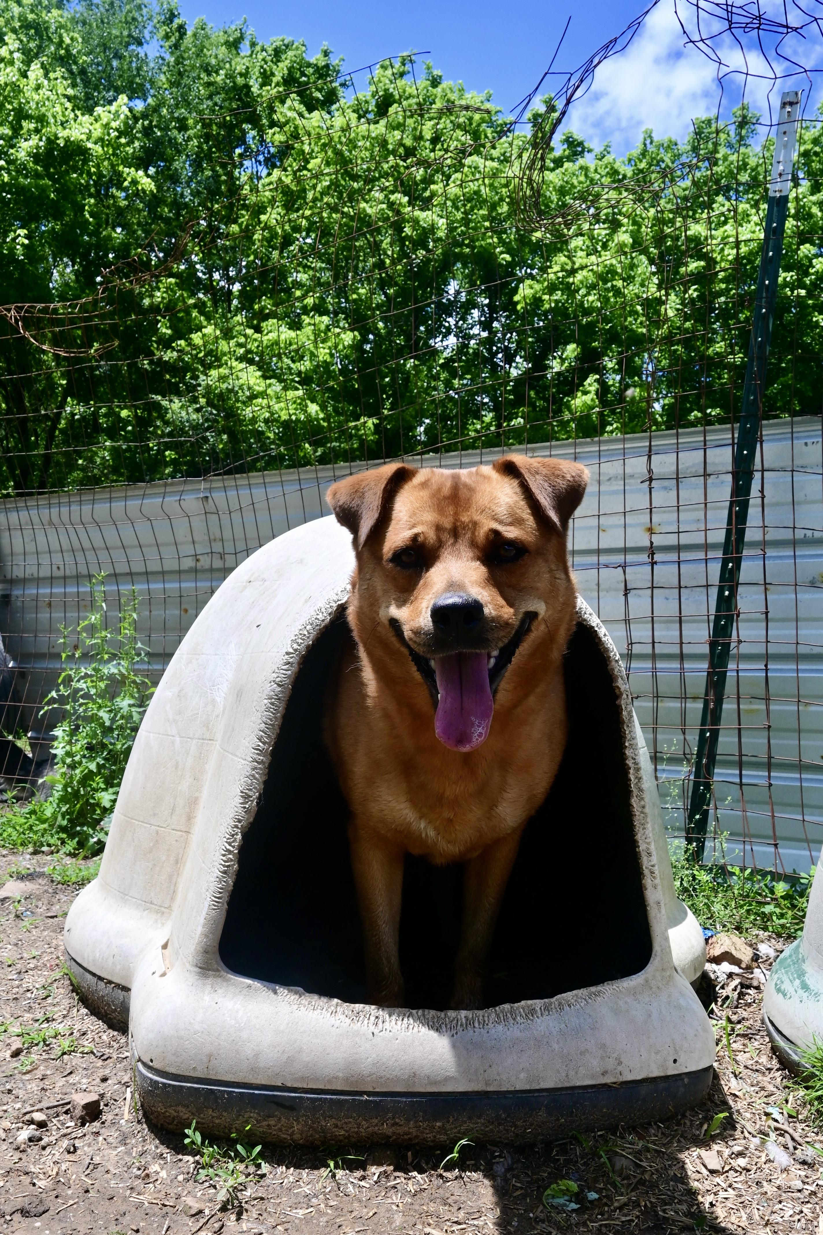 Serena Wiggles thumbnail 5