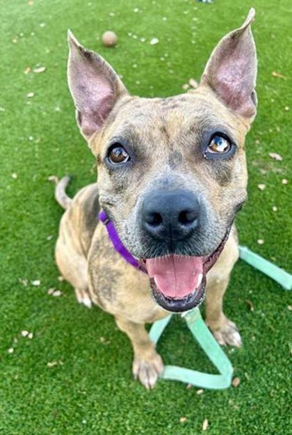 Charline thumbnail 2