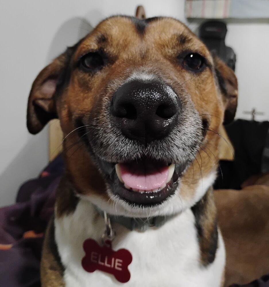 Ellie Mae thumbnail 2