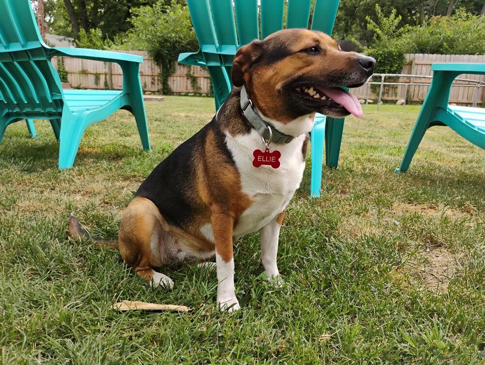 Ellie Mae thumbnail 3