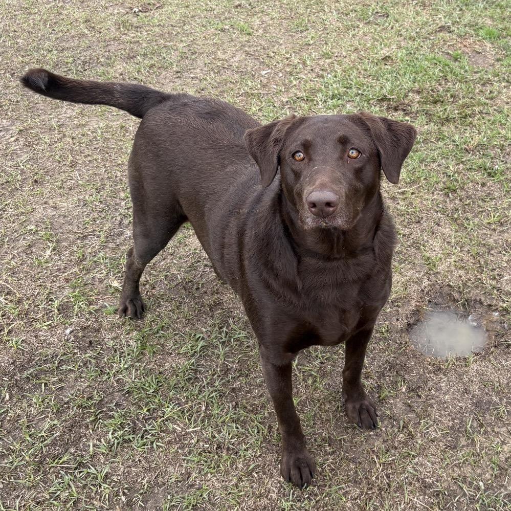 Caroline thumbnail 2