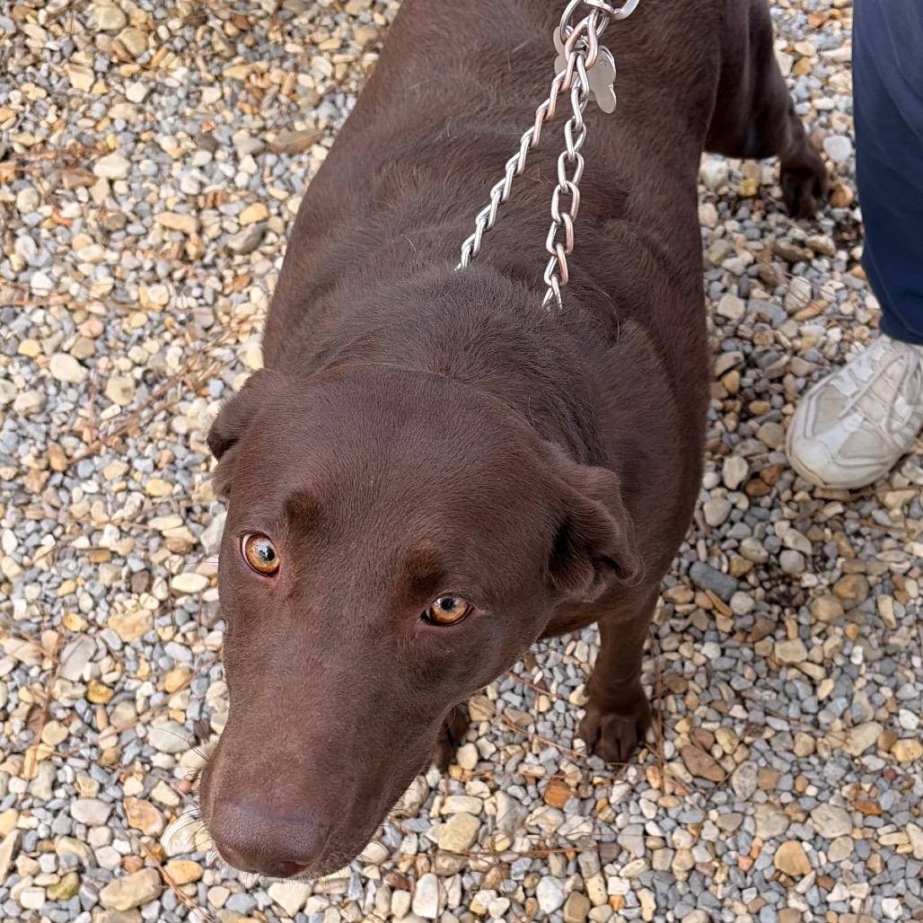 Caroline thumbnail 3