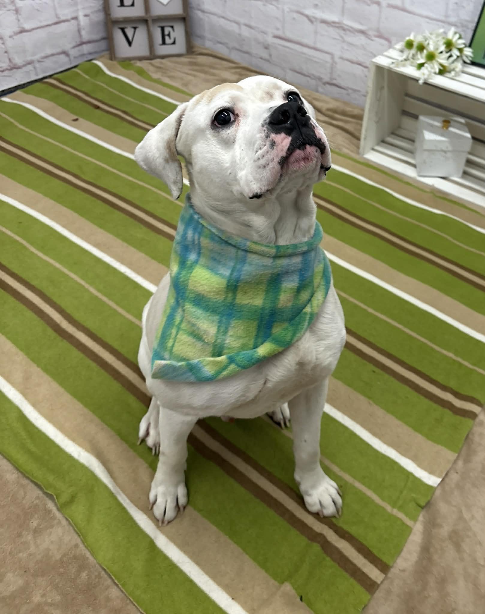 Finnigan thumbnail 2