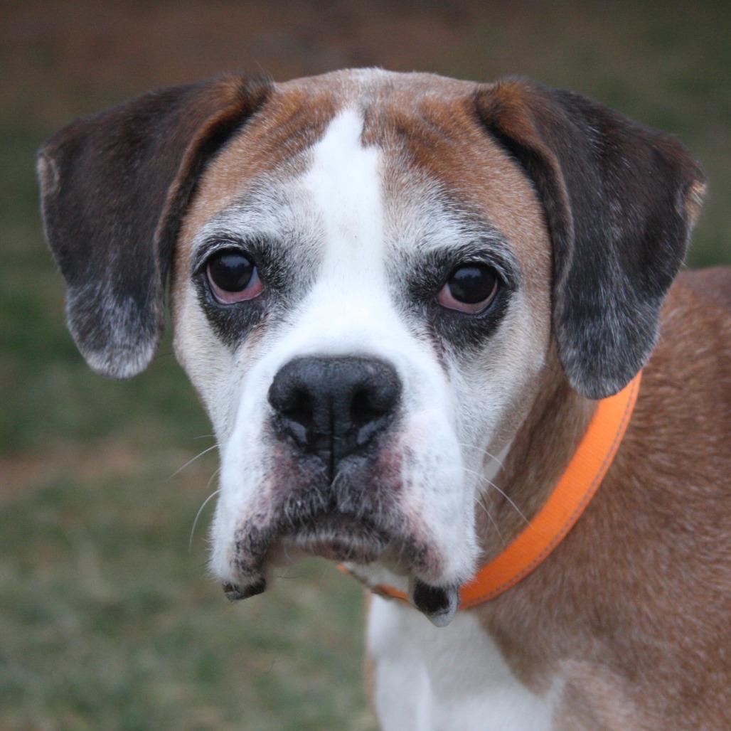 Princess thumbnail 2