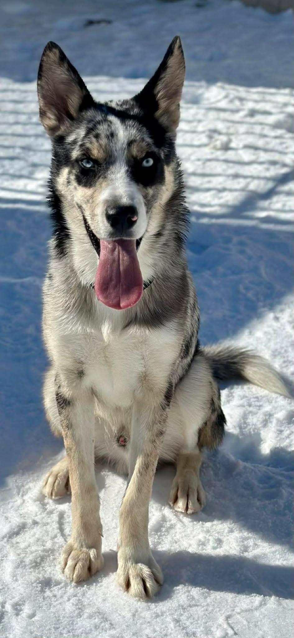 Maxamillion thumbnail 2