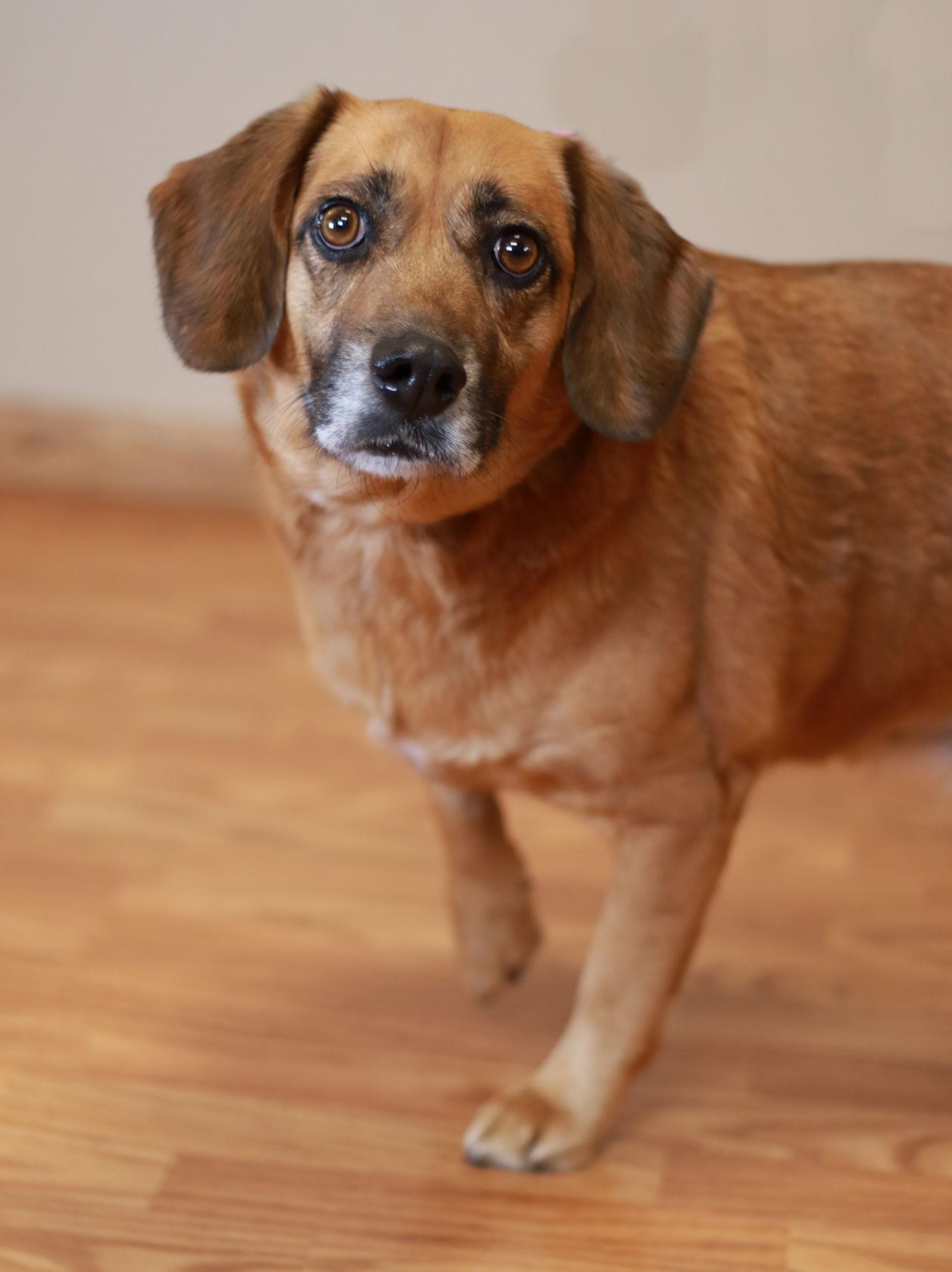 Lady Jane thumbnail 3