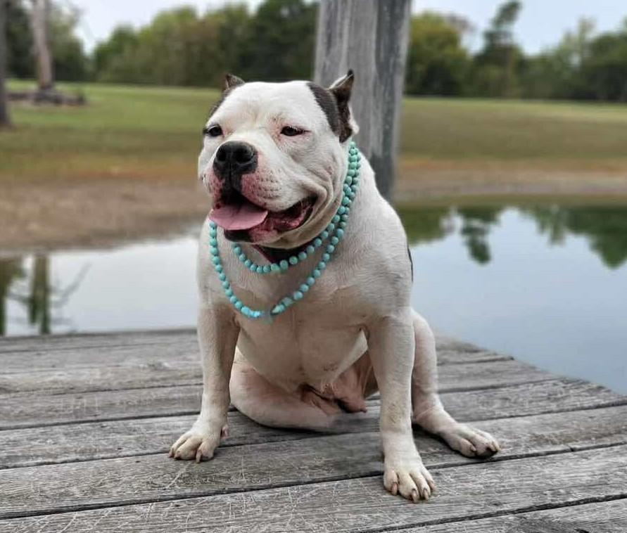 Sprinkles thumbnail 2