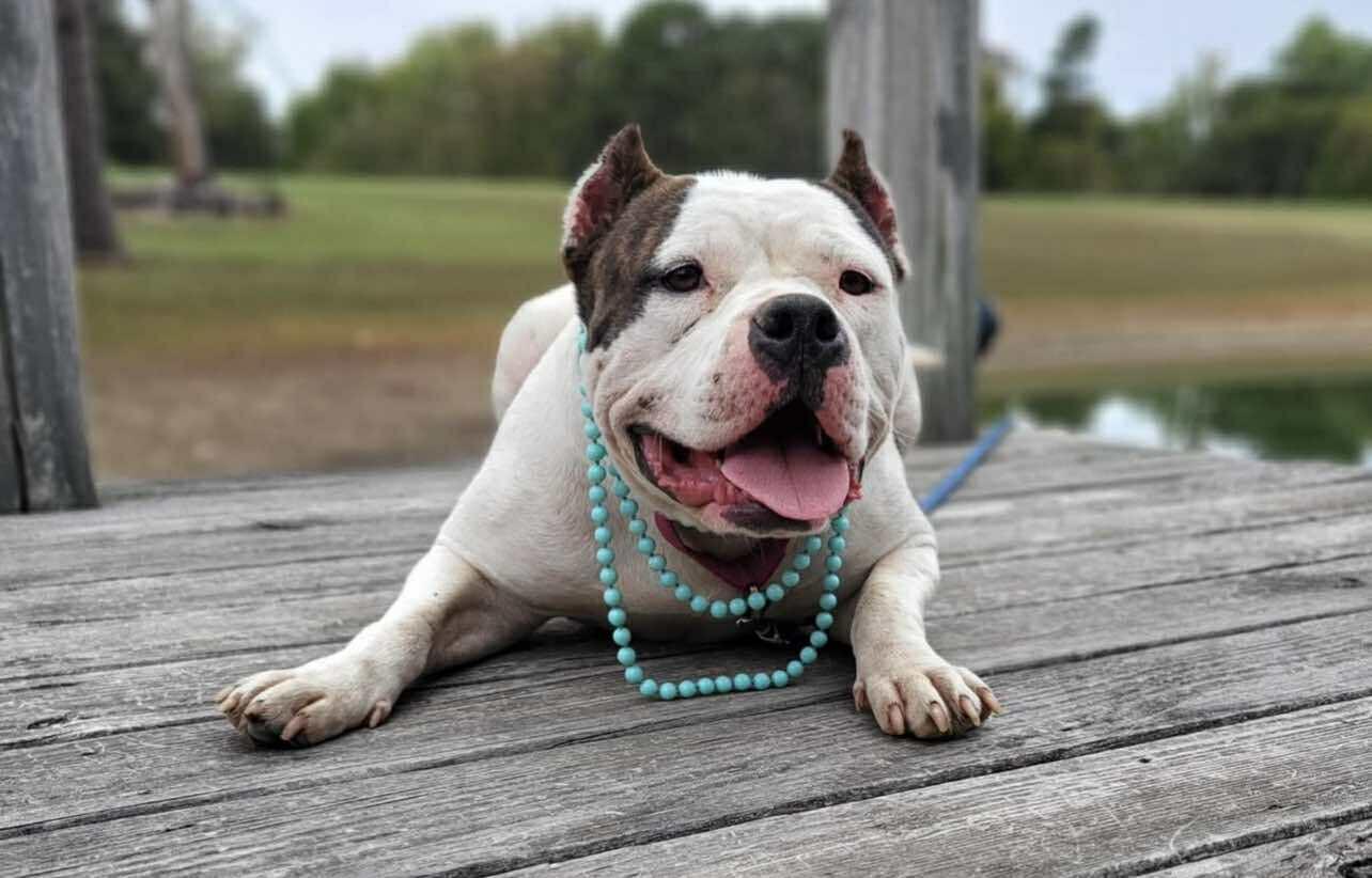 Sprinkles thumbnail 3