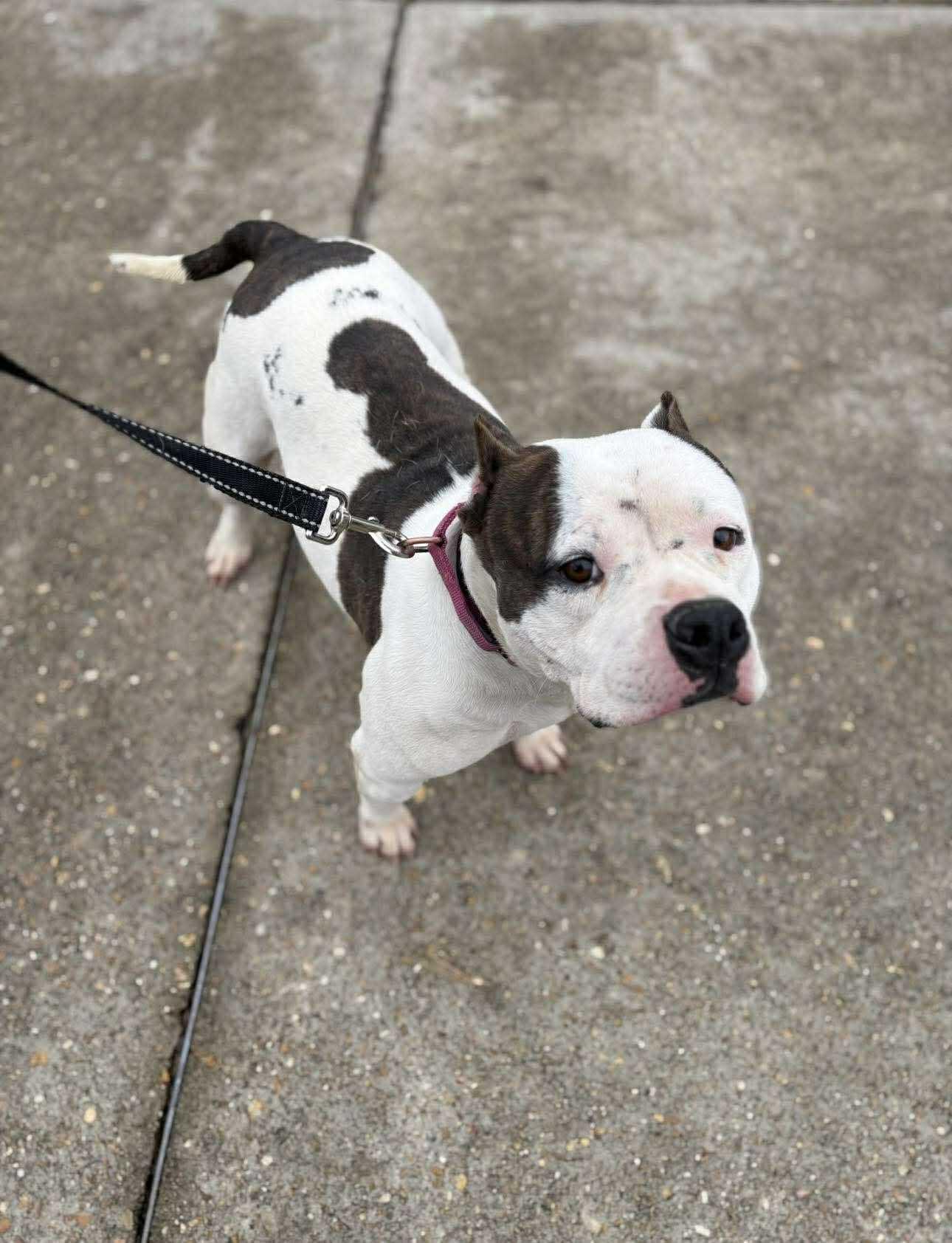 Sprinkles thumbnail 4