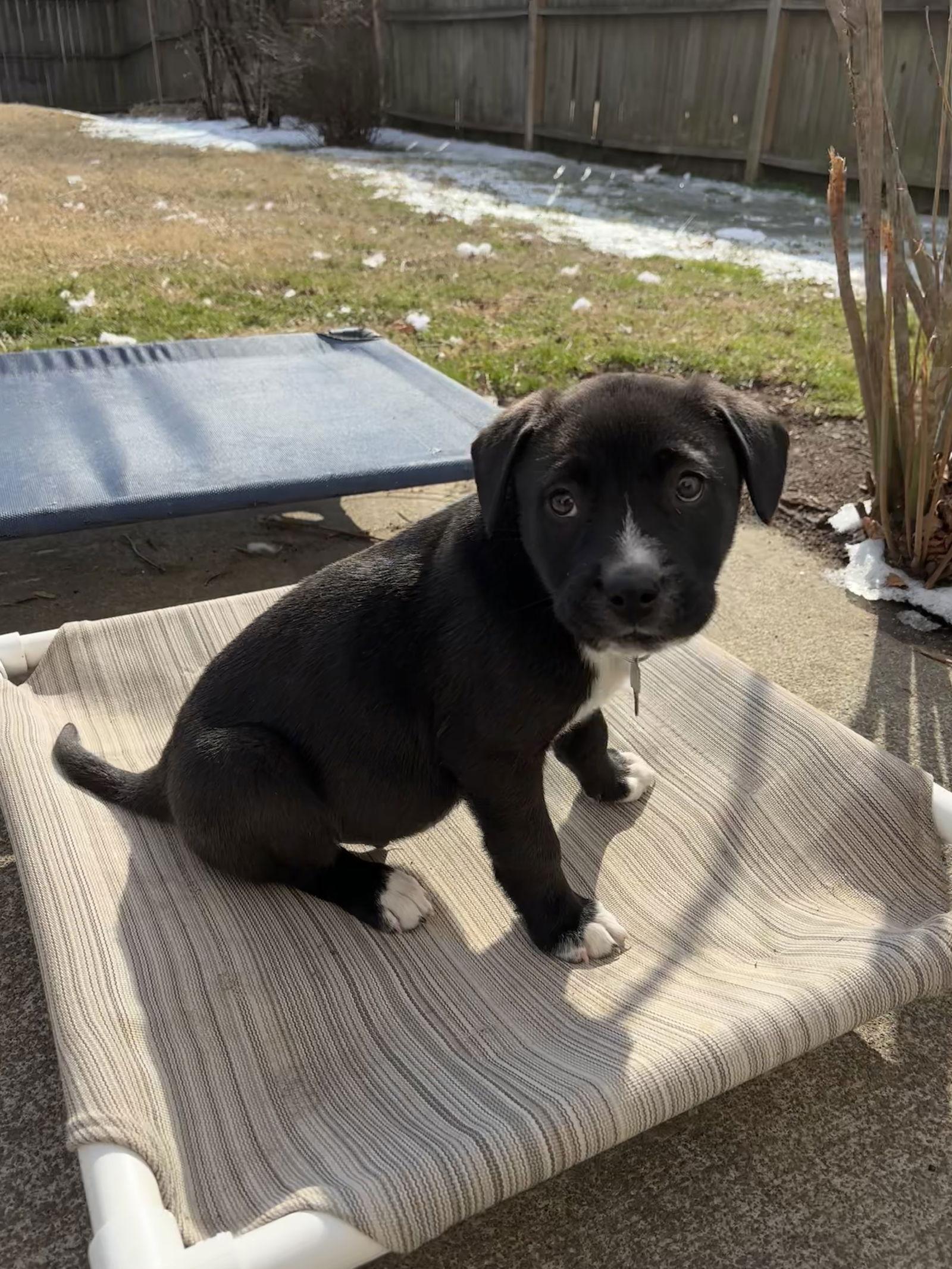 Ferdinand thumbnail 2