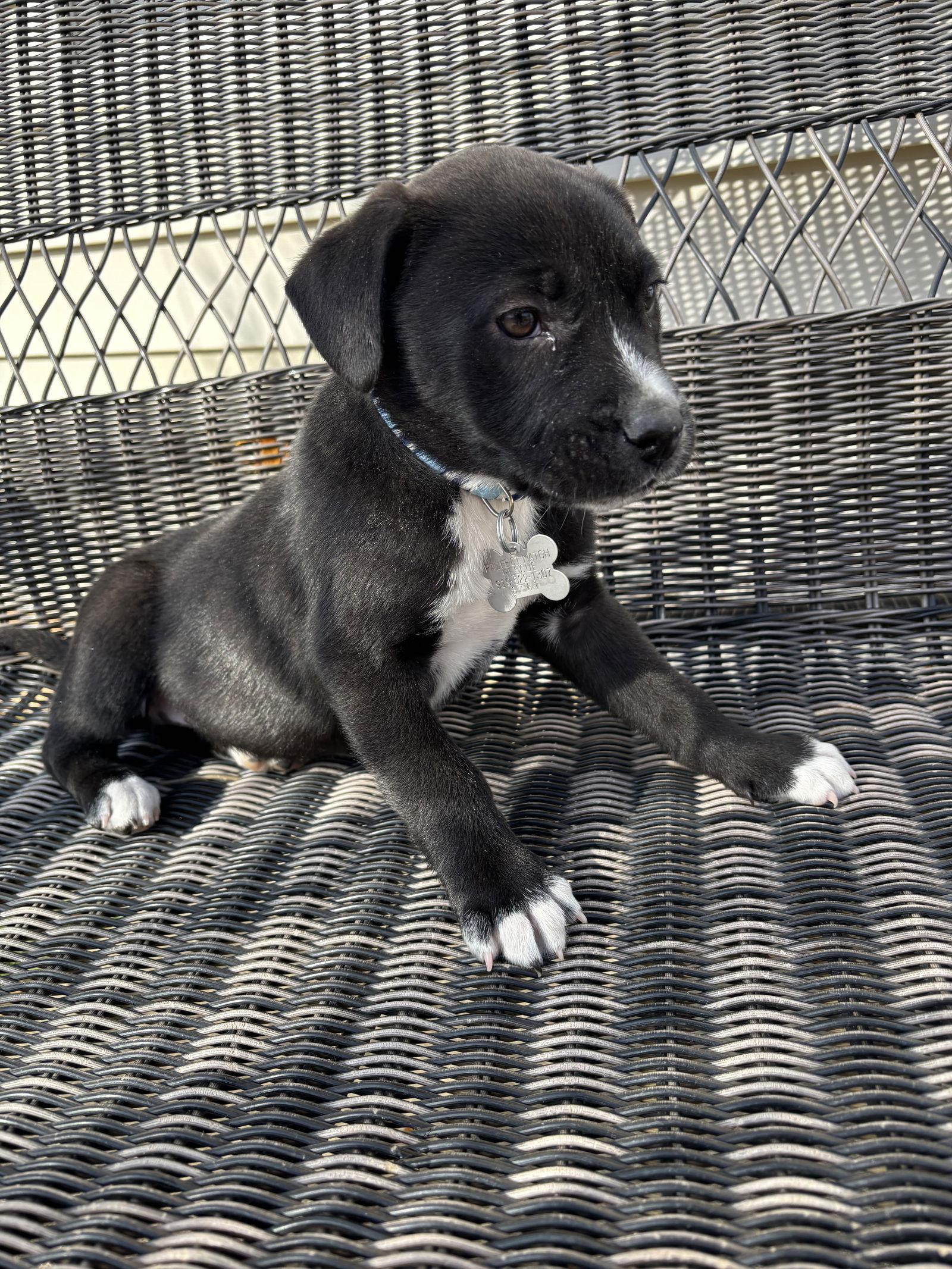 Ferdinand thumbnail 3