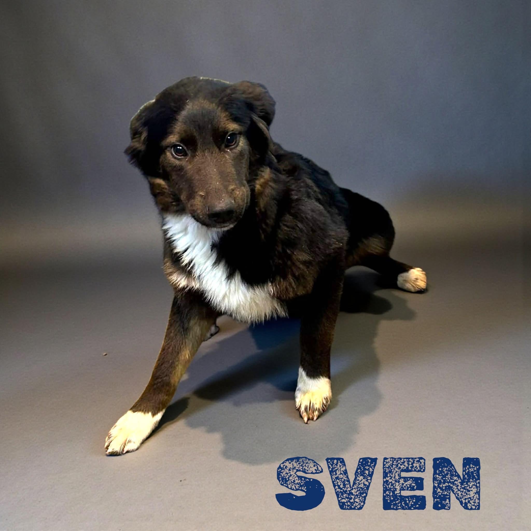 Sven