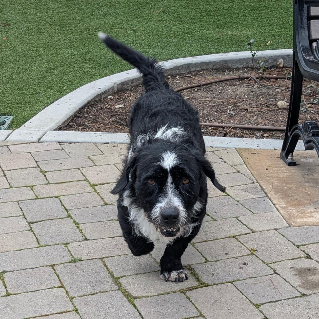 Pepper  City Of thumbnail 2