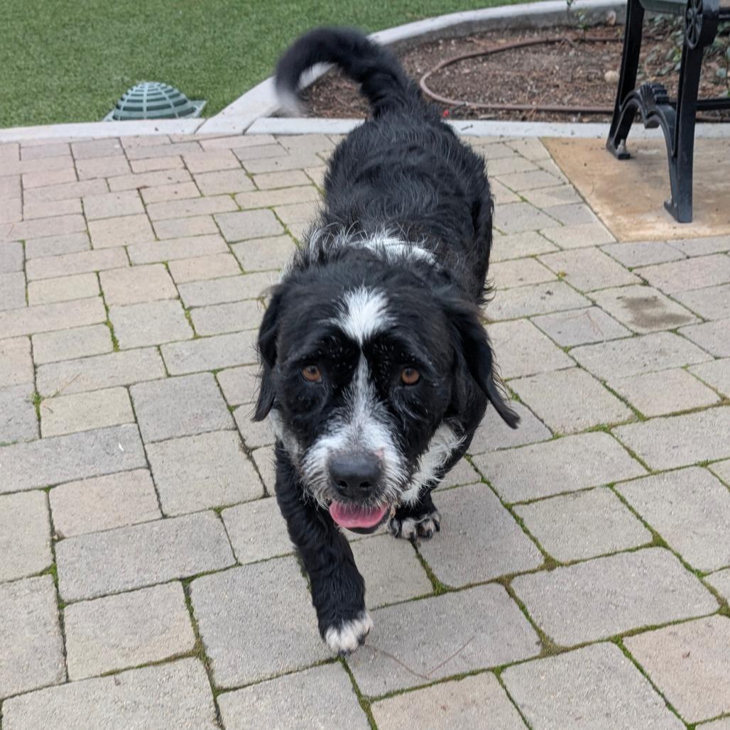 Pepper  City Of thumbnail 3