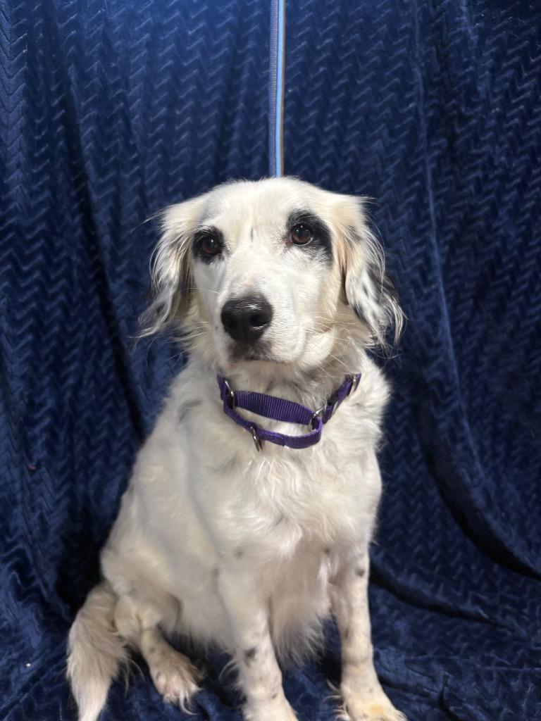 Iris  Deaf  thumbnail 2