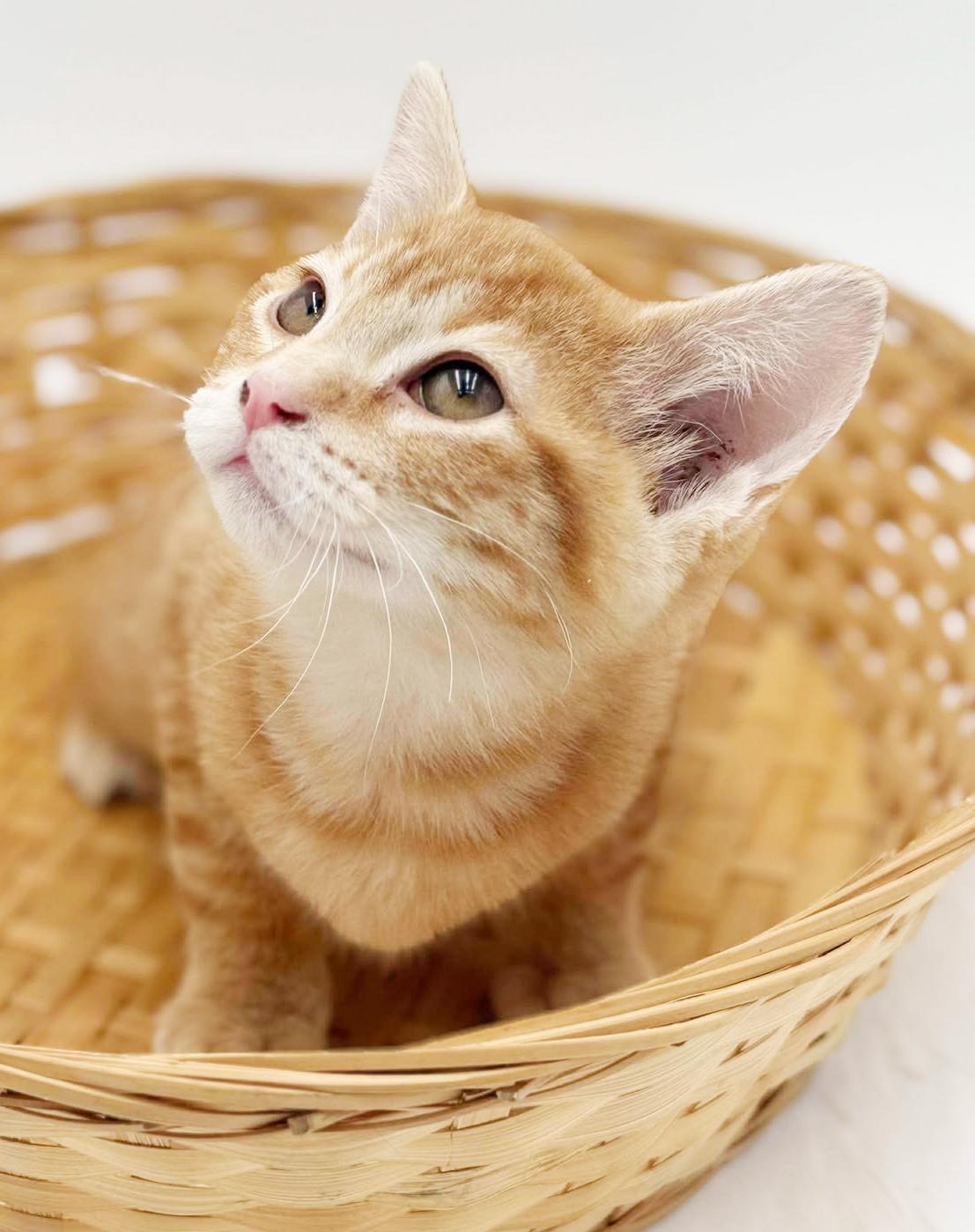 Prince Will Fill Your thumbnail 2