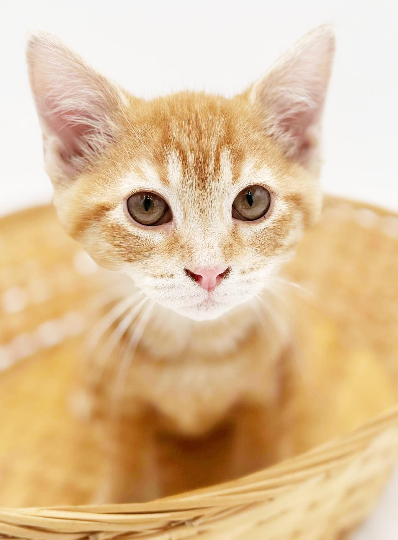 Prince Will Fill Your thumbnail 3