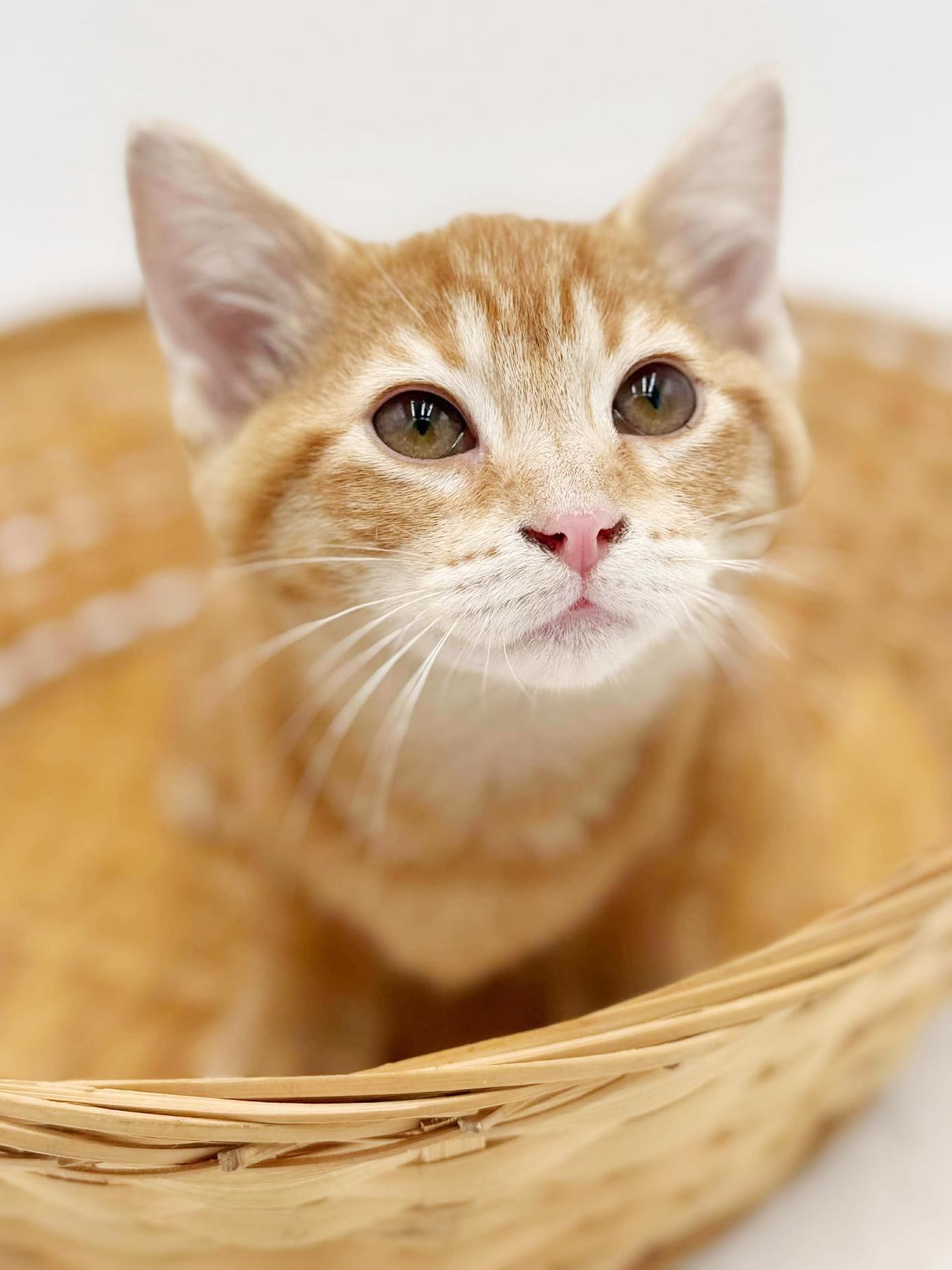 Prince Will Fill Your thumbnail 6