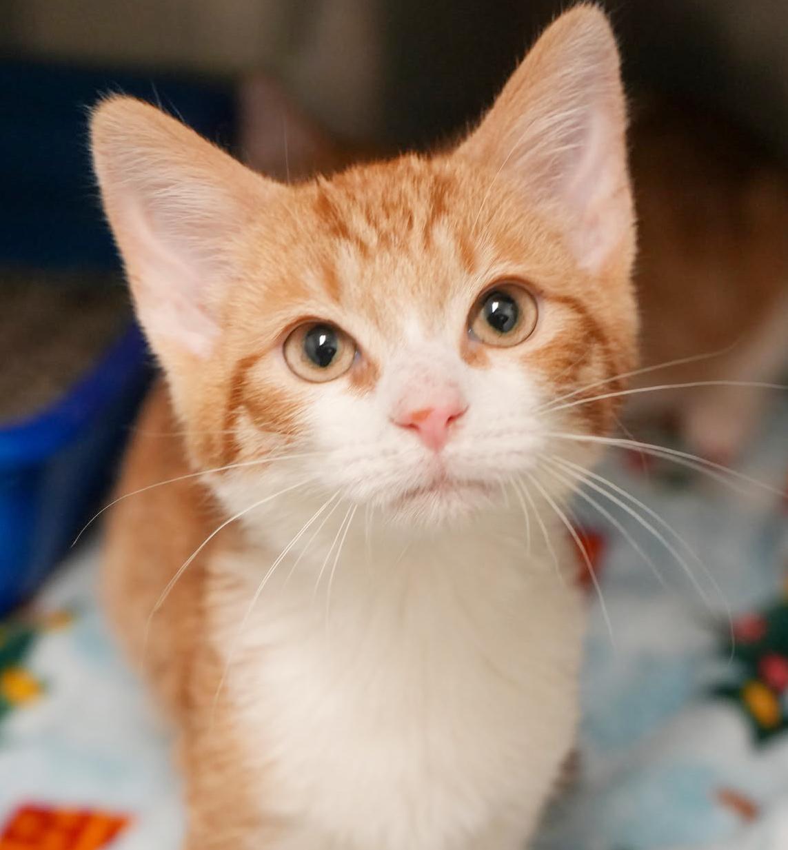 Ron Is Ridiculously Sweet!!