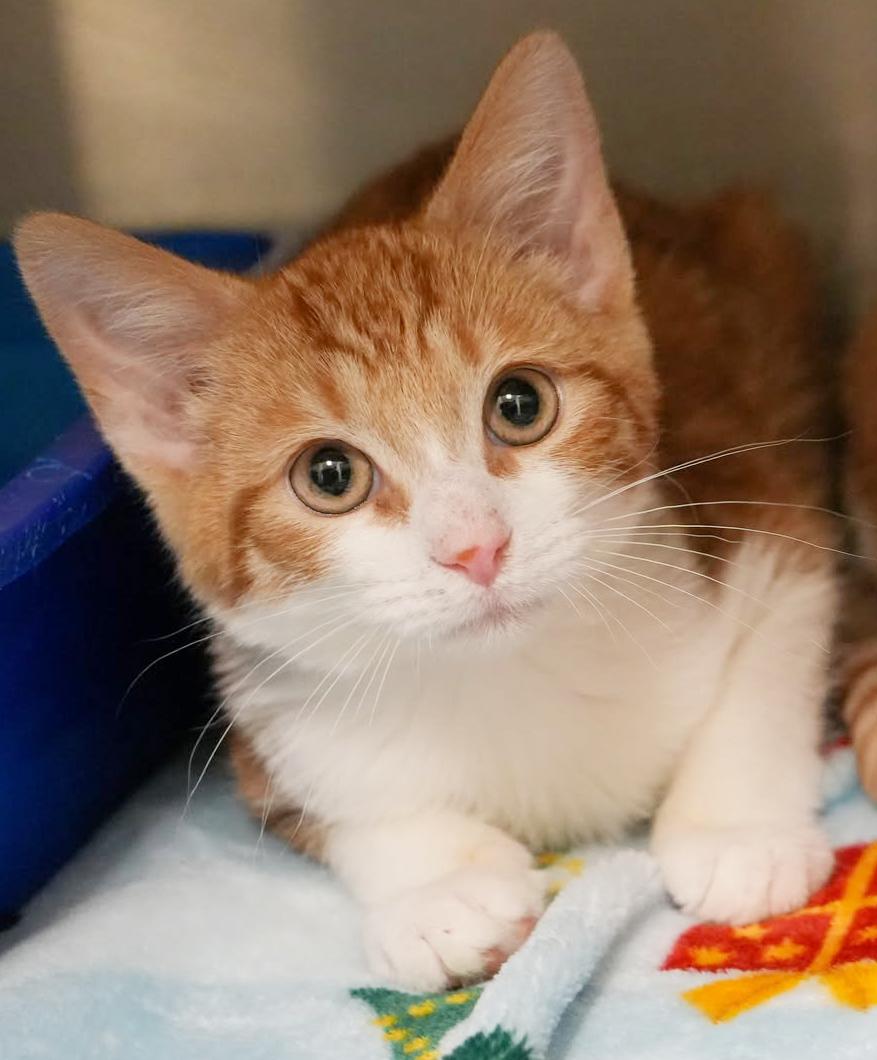 Ron Is Ridiculously Sweet!! thumbnail 5