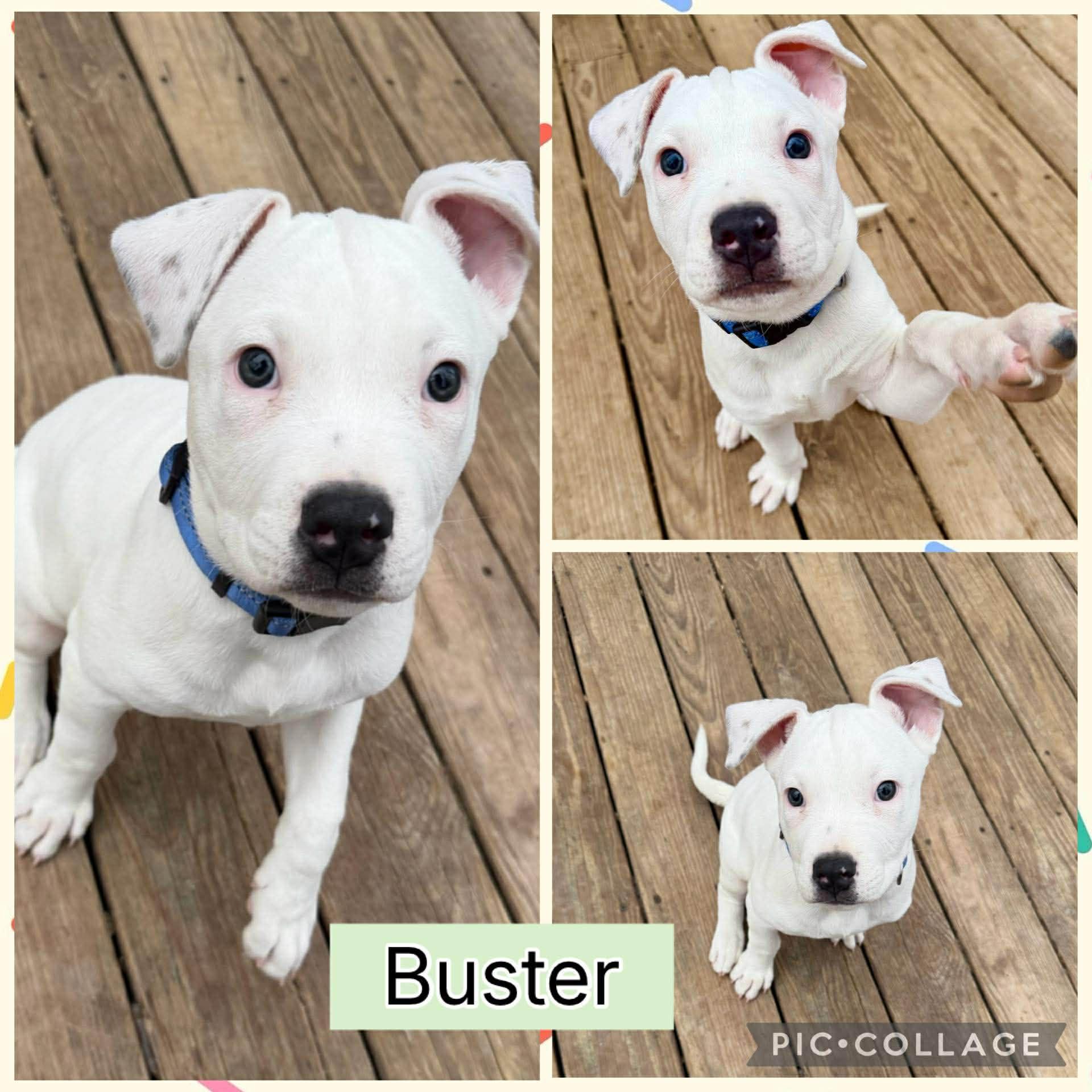 Buster