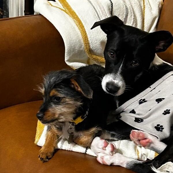 Cami Cuddling Cutie thumbnail 3