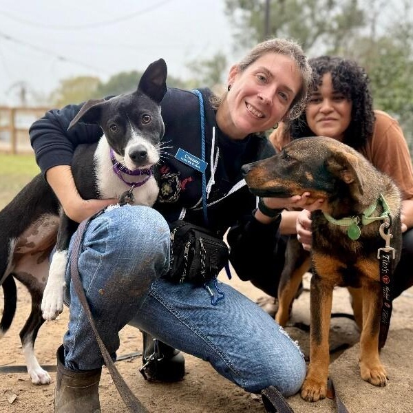 Cami Cuddling Cutie thumbnail 4