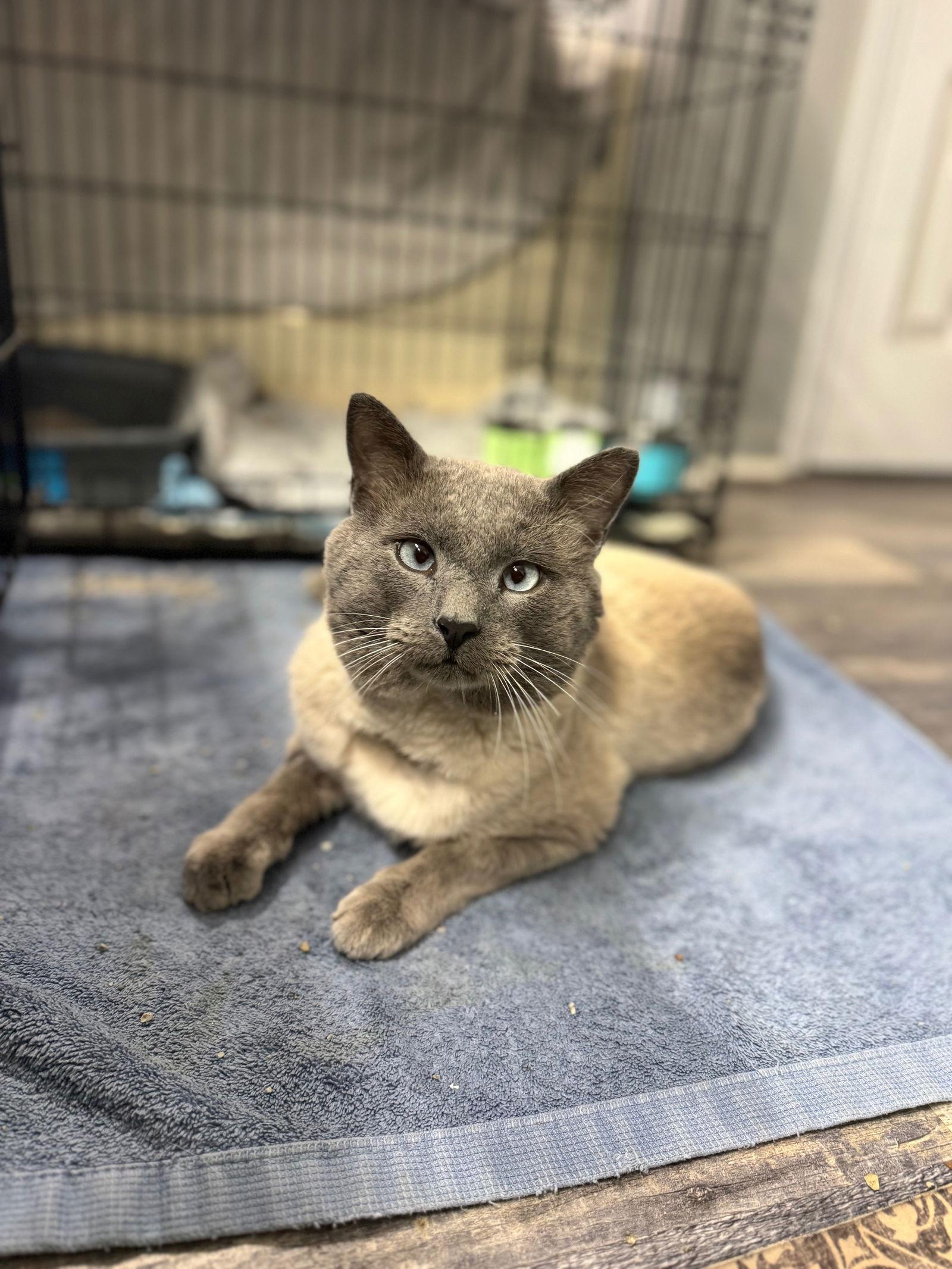 Tom Selleck thumbnail 2