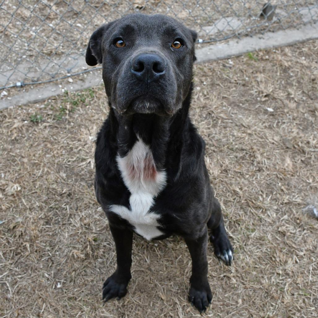 Matterhorn thumbnail 3