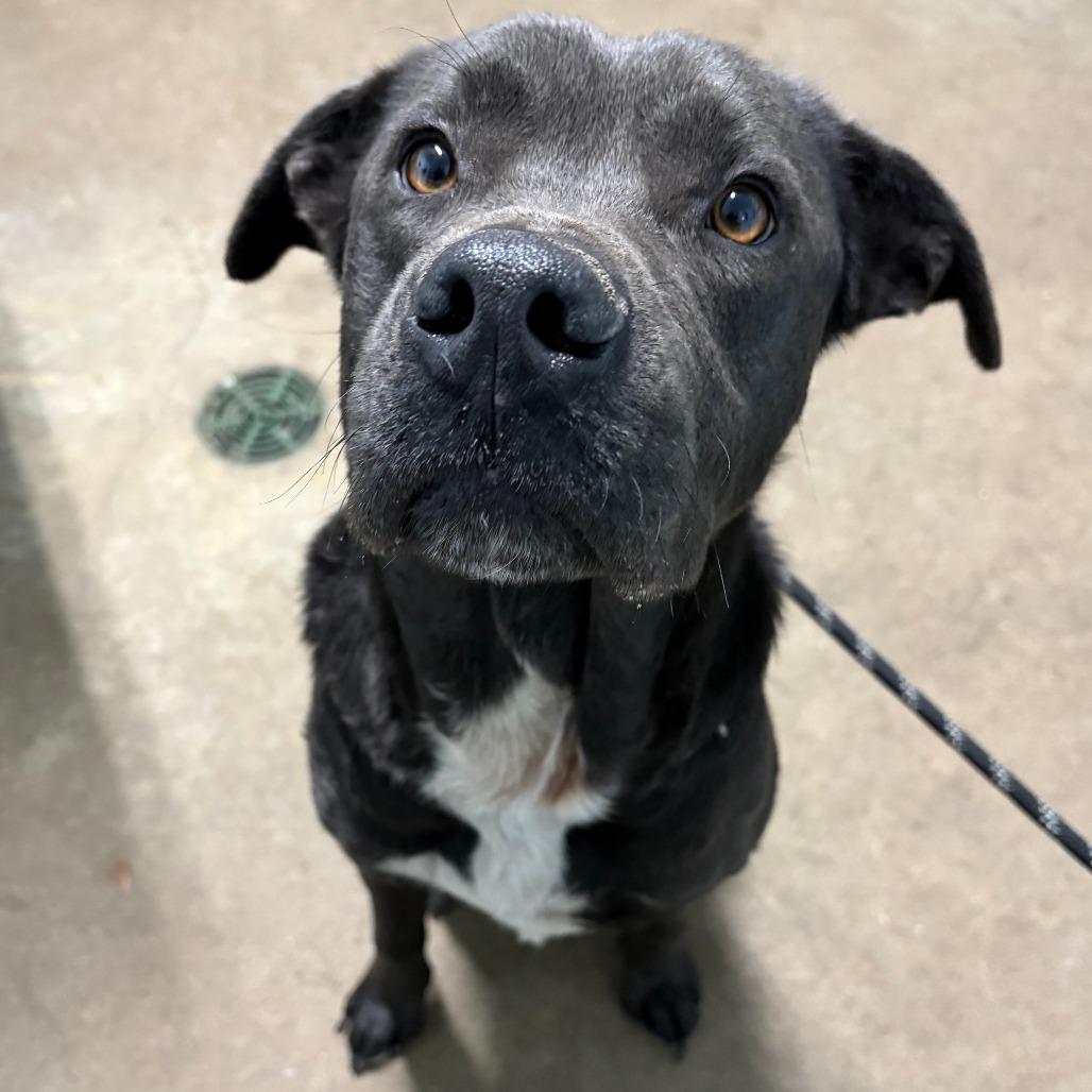 Matterhorn thumbnail 4