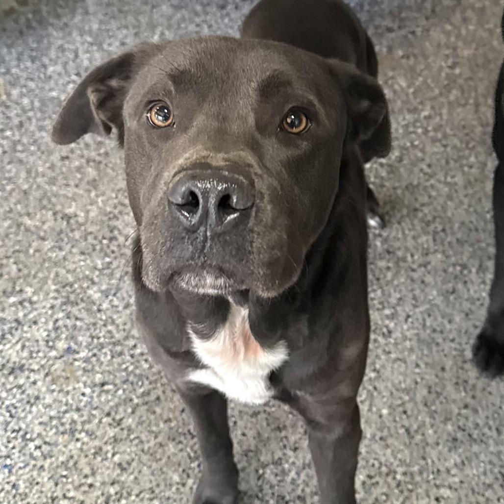 Matterhorn thumbnail 5