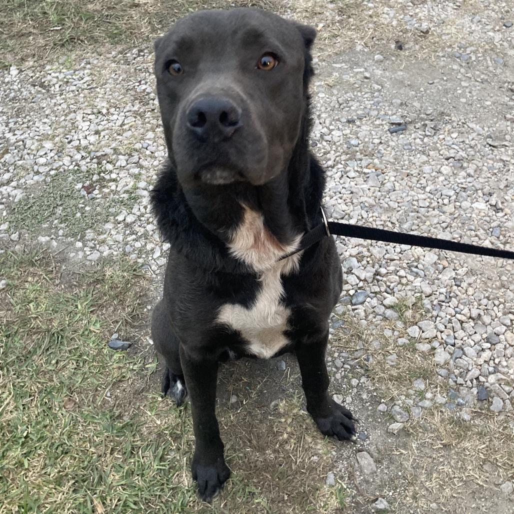 Matterhorn thumbnail 6