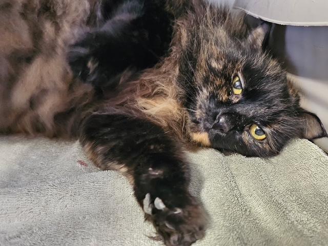 Pritty Girl thumbnail 2