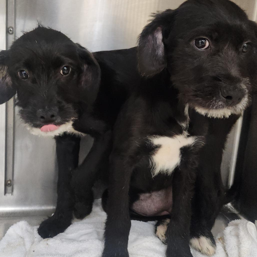 Leighton thumbnail 2