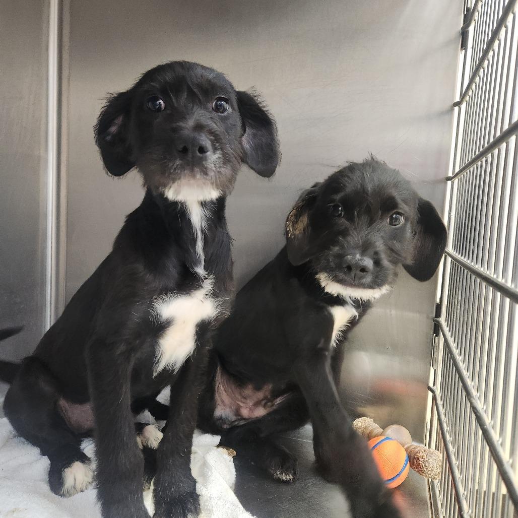 Leighton thumbnail 3