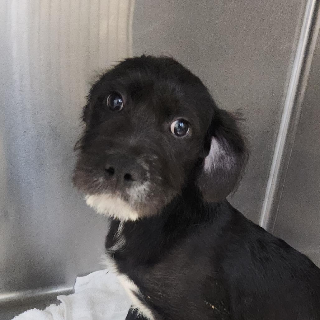 Leighton thumbnail 4