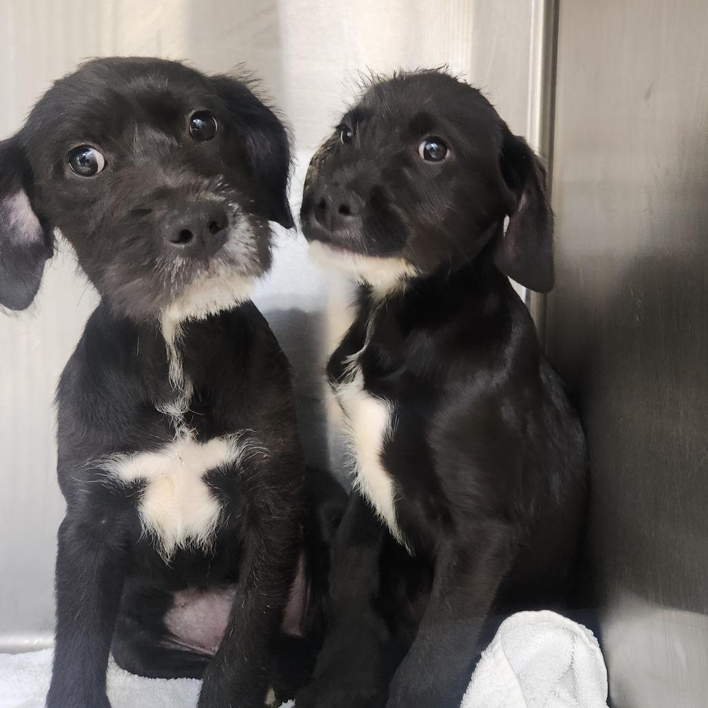 Leighton thumbnail 5